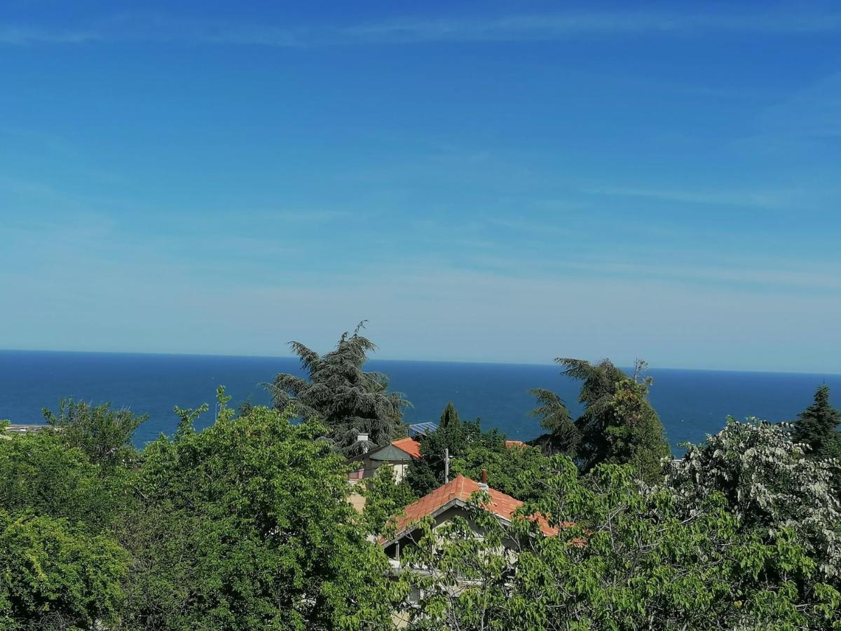 Villa Steffi Zlate písky Exteriér fotografie