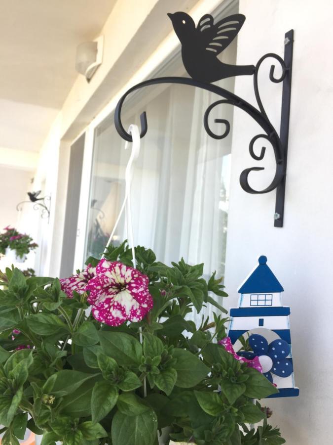 Villa Steffi Zlate písky Exteriér fotografie